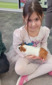 Przedszkole Żłobek Centrum Terapeutyczne | Limanowa Mordarka Przyszowa | skrzatek.eu|Pokaz świnek morskich 🐹💚