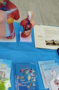Przedszkole Żłobek Centrum Terapeutyczne | Limanowa Mordarka Przyszowa | skrzatek.eu|Serdecznie dziękujemy za wizytę Pani Karina Gamoń