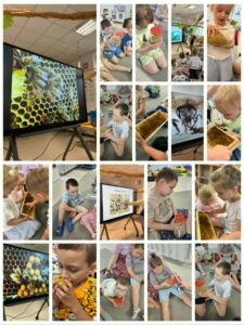 Przedszkole Żłobek Centrum Terapeutyczne | Limanowa Mordarka Przyszowa | skrzatek.eu|🐝🍯 Pszczelarska przygoda w naszym przedszkolu!