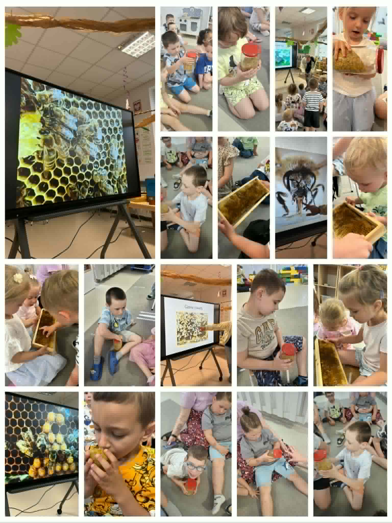 🐝🍯 Pszczelarska przygoda w naszym przedszkolu!
